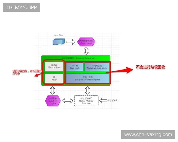 深入了解亚星国际官方网的会员制度与福利